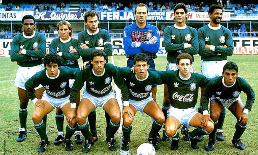 Serie Albuns: Palmeiras no Campeonato Brasileiro de 1991: A Luta do Verdão pelo Topo