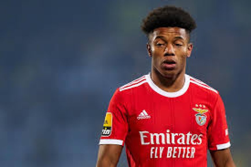 David Neres no Radar de São Paulo e Flamengo: Benfica Aceita Negociar Jogador